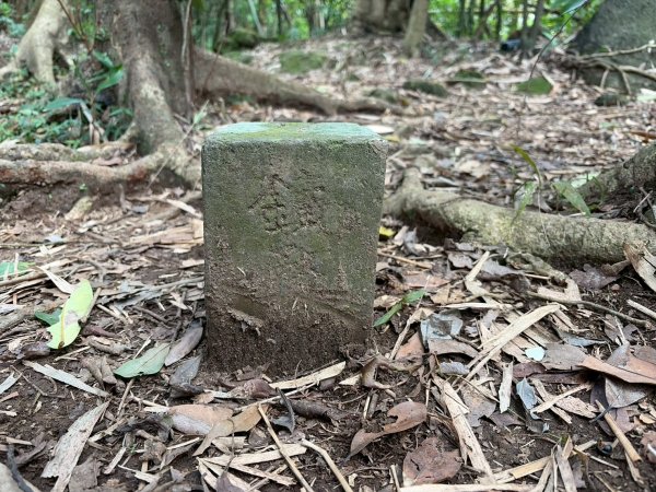 新北 瑞芳 禮樂-保羅尖-雙鬼小霸尖-石梯坑山-半屏瀑布-小錐麓-水管隧道-香巴拉隧道-半屏溪-禮樂2955484