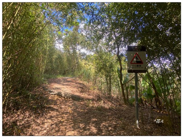 金龍湖、鷹石尖、老鷲尖、內溝山 O型一圈2966598