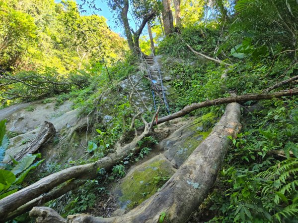 石牛山（小百岳）2909985
