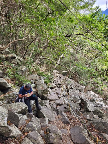 2025.11.30 谷關七雄 No.4 波津加山，不給休的蜂2952126