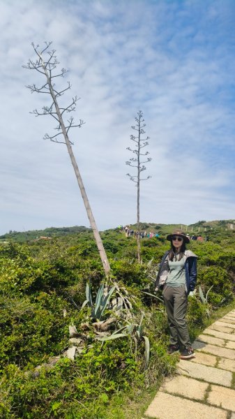 馬祖四鄉五島快樂之旅3048473