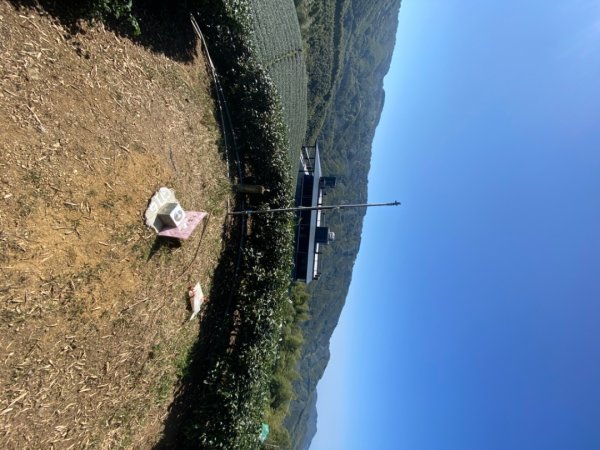鹿谷大崙尾山、和雅挑竹古道7號、和雅挑竹古道6號O型走2425957