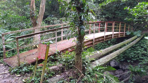 雙石縱走加碼蓬萊仙島山2997561