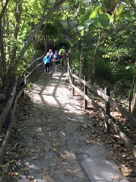 109年6月28日大社觀音山1032692