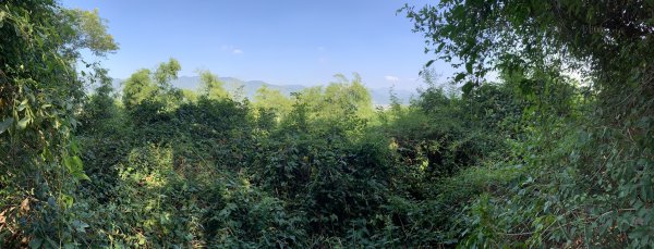 20251122高雄竹山口山2945318