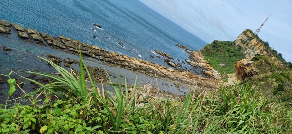 野柳地質公園.新北萬里2620768