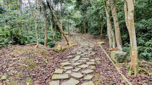 楊梅保甲古道,福人登山步道2695964