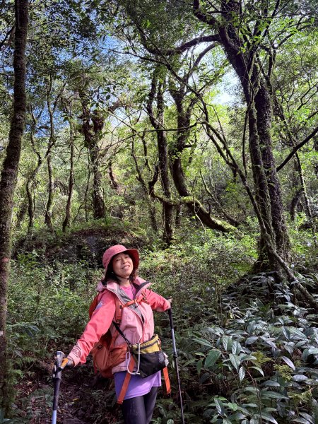 山毛櫸掉光光的 卡保逐鹿O繞 202511152937471