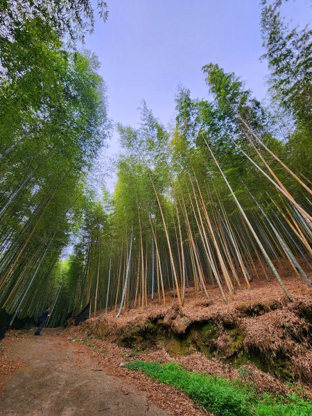 小百岳集起來-鳳凰山2183152