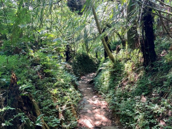 淡蘭古道中路（柑腳-外澳）1466556