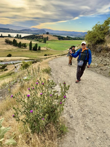 紐西蘭之旅-羅伊峰（Roy Peak ）Hiking 2025.1.282709641