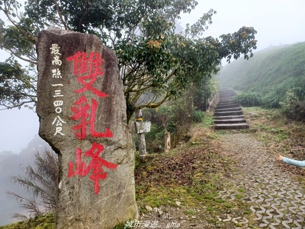 【台東。 太麻里】沒有金針花只有狹窄的山路。 小百岳集起來。 編號94小百岳-太麻里金針山步道1644009