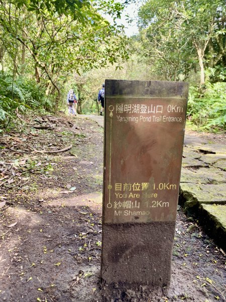 《中正山 × 紗帽山｜穿越北投古道與山林的一日縱走！》2935007