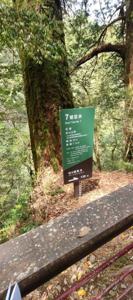 拉拉山國家森林遊樂區2752224