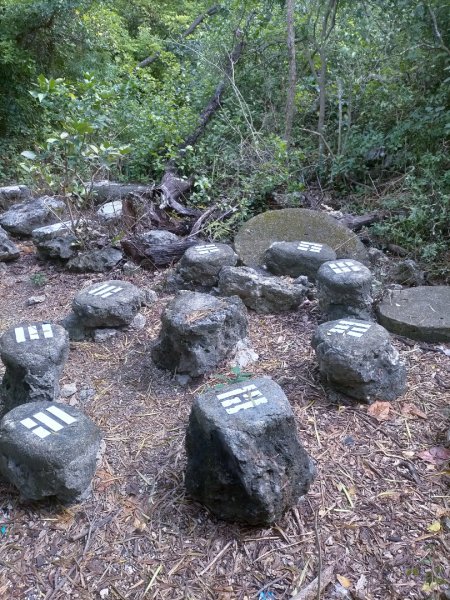 柴山之美~2934538