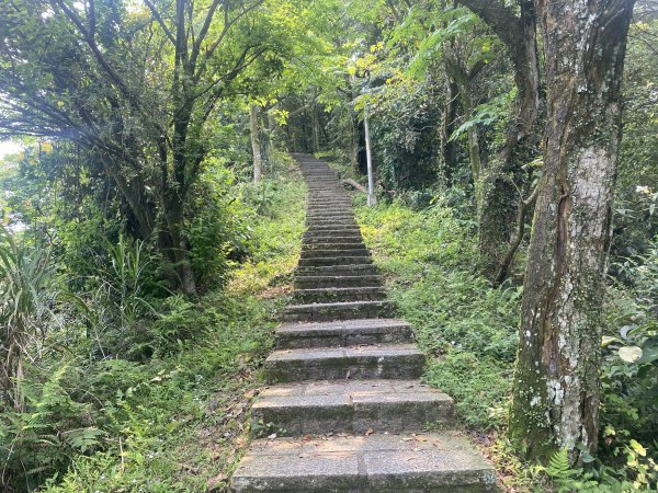 《城市與山的交界線｜大尖山連走四分尾山》O繞路線＋秀峰瀑布＋遇見養蜂人🐝3056638