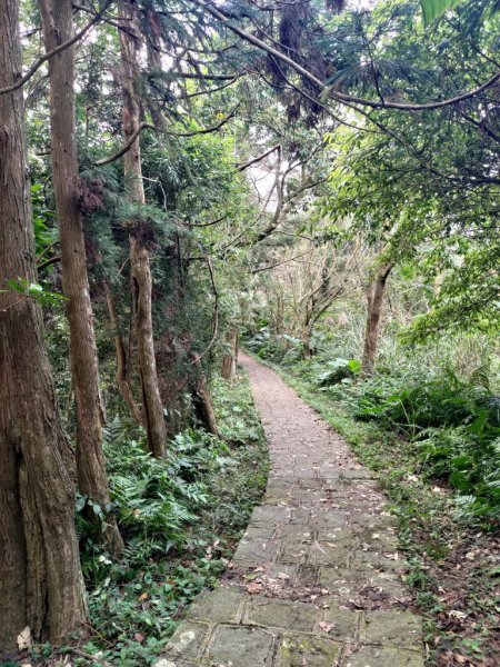 【新竹縣橫山鄉】大崎棟步道2833213