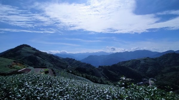 雲嘉五連峰2254927