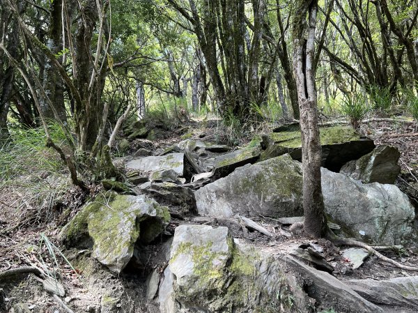 屏風山屋住一晚2916013