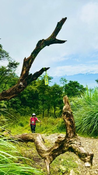 烘爐地山、桶後溪源頭O走2593134