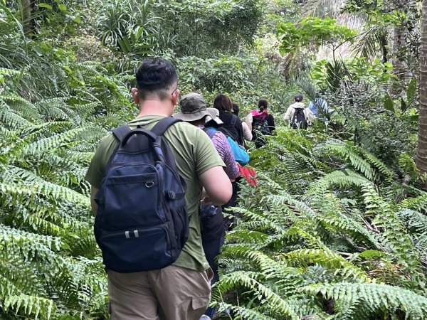 阿郎壹古道3014523