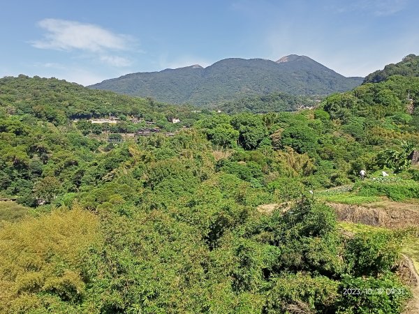 半嶺步道、松溪瀑布、橫嶺古道、湖山綠地【發現陽明山、走路趣尋寶、健康大穀東】2321349