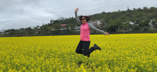 富里油菜花2704815