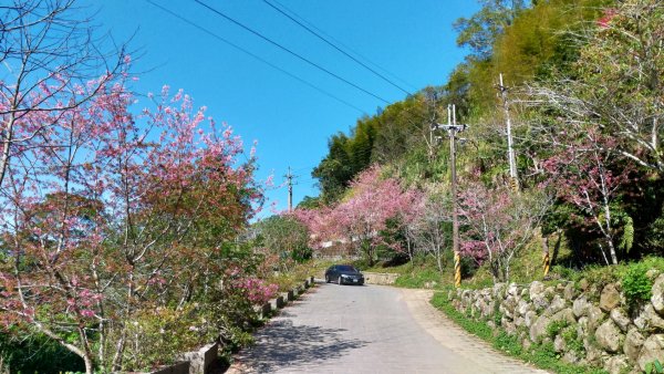 嘉南雲峰、石壁山861211