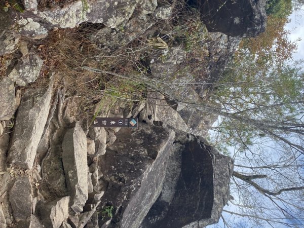 東卯山下德芙蘭封面