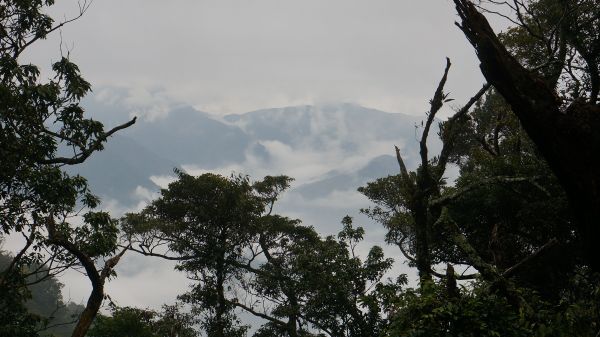 井步山(阿猴富士山)116175