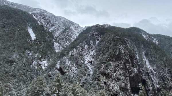 塔塔加-排雲山莊。驚喜滿分的糖霜雪景1565814