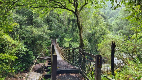 太平山森林遊樂區，檜木原始林步道，九寮溪自然步道，戈霸瀑布，開眼崙登山步道2223252