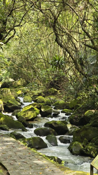 2025-0512內湖到中社2784815