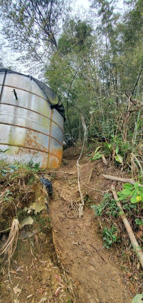 2025-01-19孝子路步道、大巃頂2694253