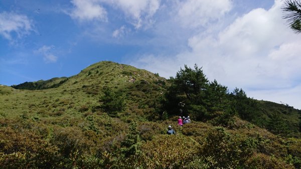 念念不忘合歡北峰1099272