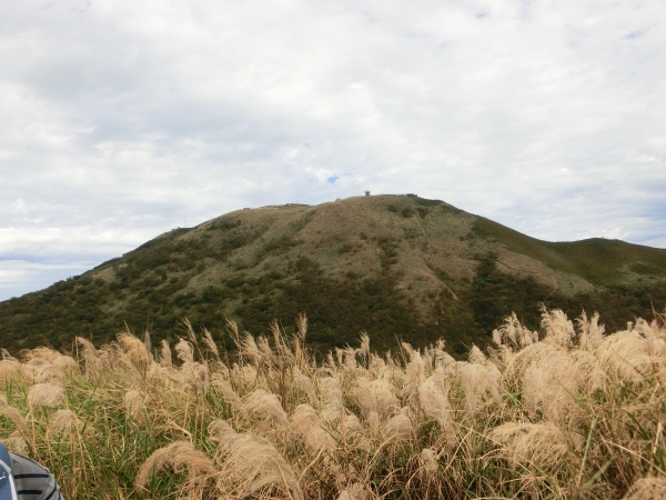 大屯山西峰．南峰．大屯坪94820