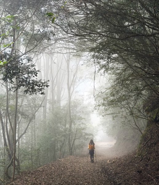雪霸國家公園 雪見遊憩區 東洗水山2928588