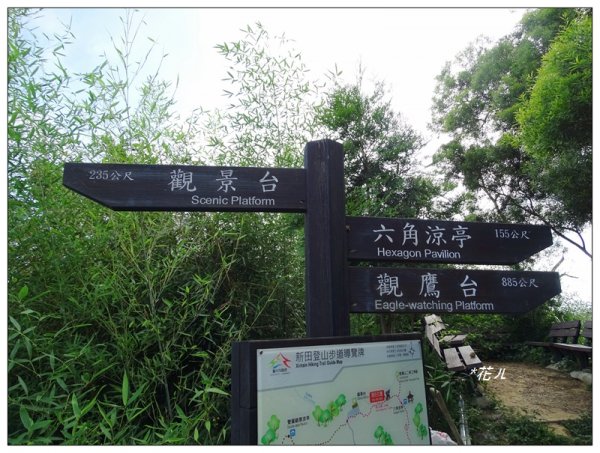 潭子/聚興山(小百岳)631458