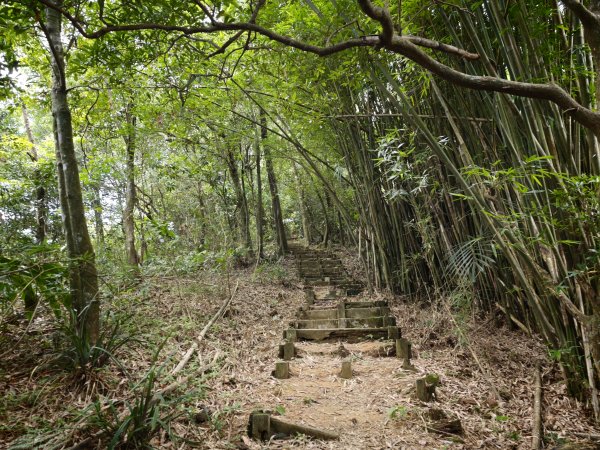 [淡蘭古道] 2026_0531 北路第四段_金字碑古道(上)-牡丹段3071016
