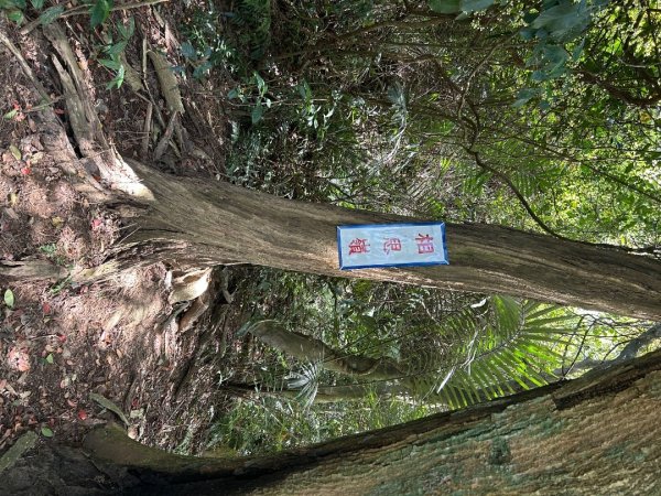 溪州山 石門山2763503