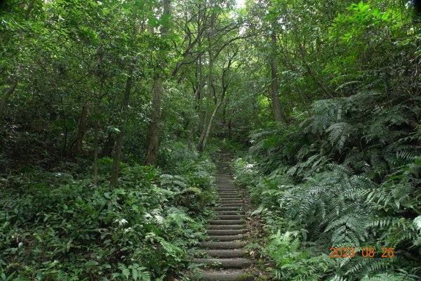 基隆 頂寮山、龍門山、五分山、頂子寮山2265980