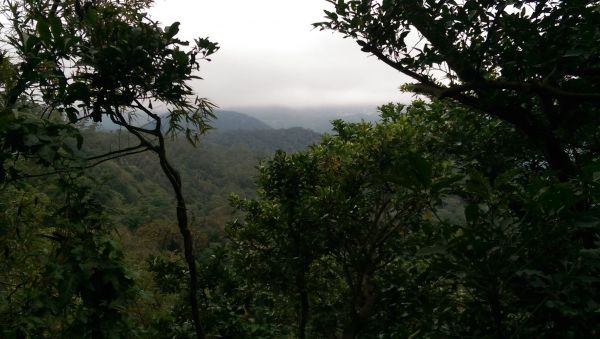 忠義山親山步道106897