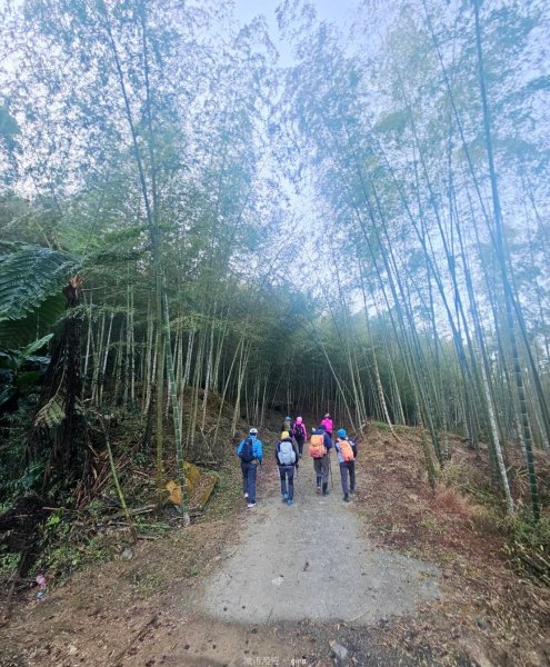【雲林古坑】舒適宜人。 石壁山連走好望角嘉南雲峰2755247