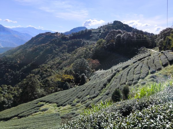 2025-12-21 武界山、獅凸魯山、橫屏山、橫屏山西峰2969748