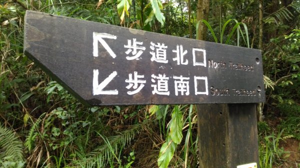 108.05.25宜蘭礁溪跑馬古道592540