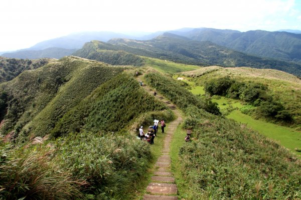 草嶺古道-桃源谷遍野芒花翻飛，飽覽絕美山海奇景！2335617