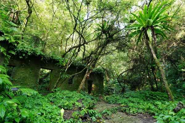 新北 石碇 西帽子岩、炙子頭山、溪邊寮山2551955