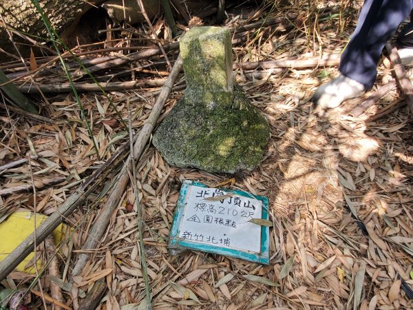 北埔老街＞北岡頂山＞綠世界