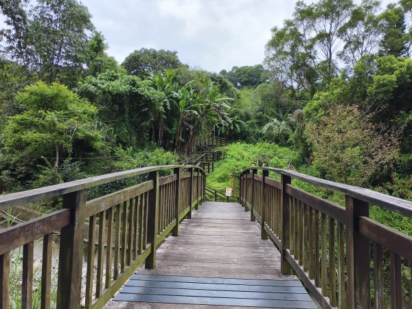 [百山百鳥尋旅-08/15] 2025_0831 大坑1號步道2876172