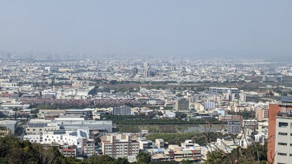 阿罩霧山 樟公廟來回2046446